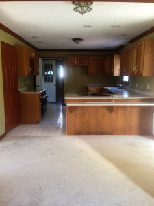 Kitchen Renovation