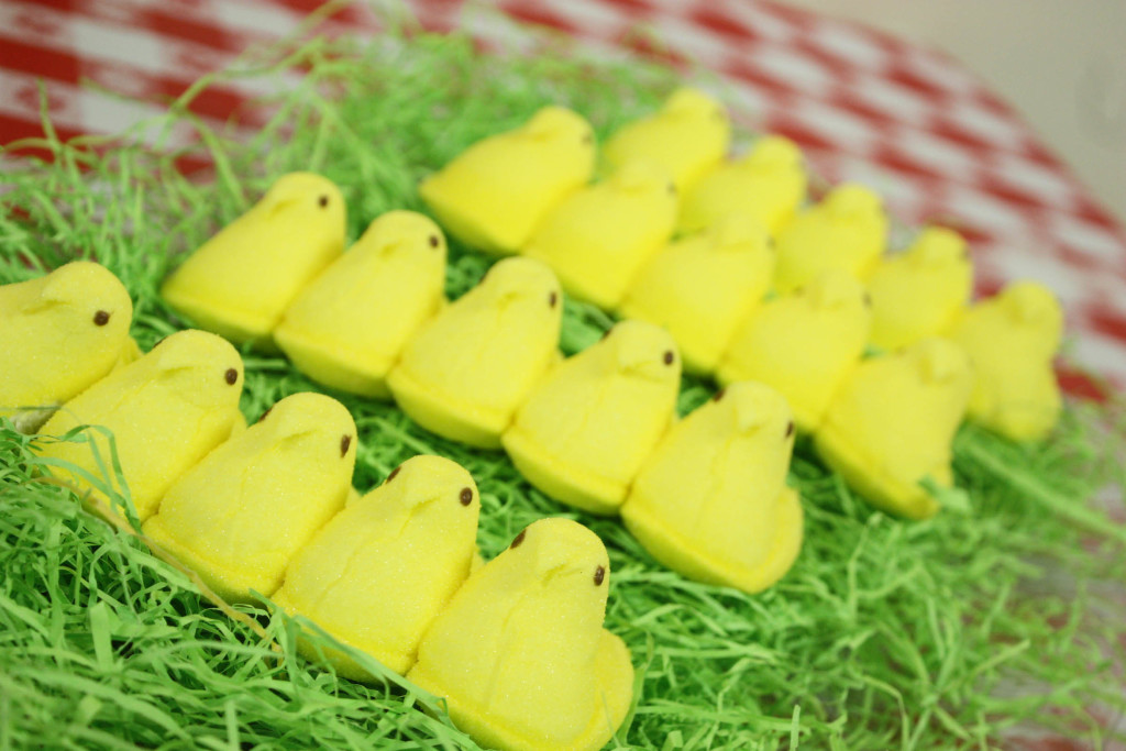 Barnyard birthday party..peeps (chicks) on easter grass