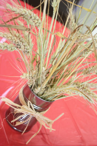 Barnyard birthday party wheat in a can