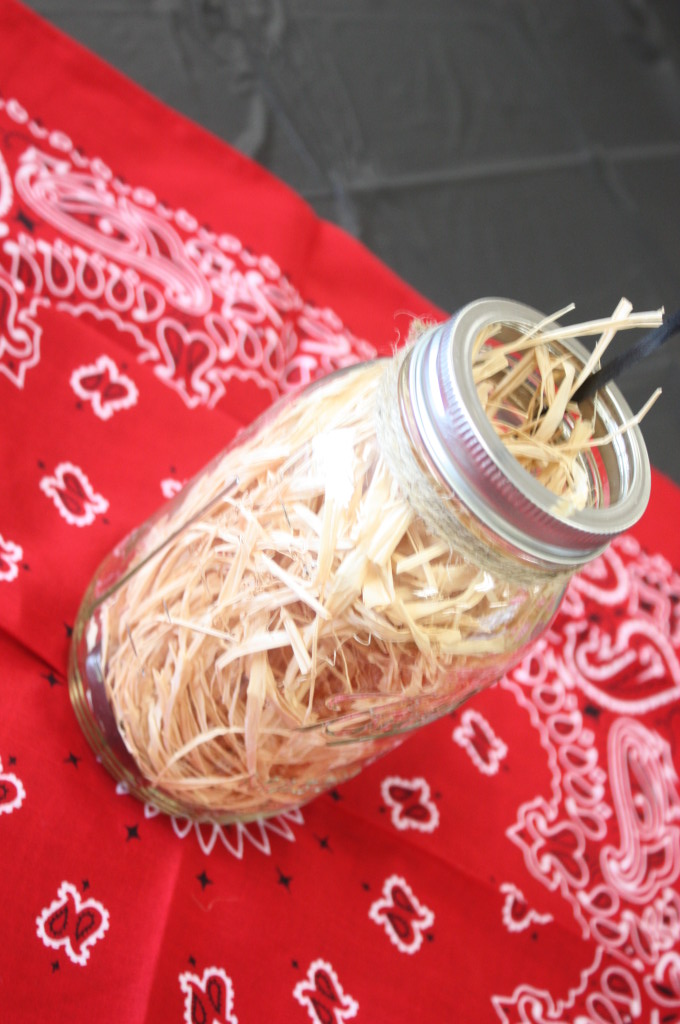 Barnyard birthday party. Mason jar filled with raffia.