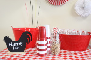 Barnyard birthday party watering hole sign with paper straws and tubs willed with ice and waters