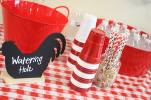 Barnyard birthday party watering hole sign with paper straws and tubs willed with ice and waters