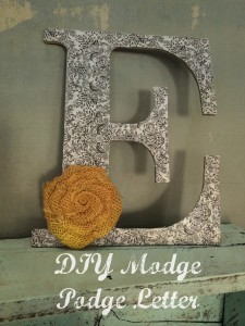 DIY Modge Podge Letter