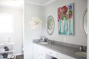 Master Bathroom Makeover