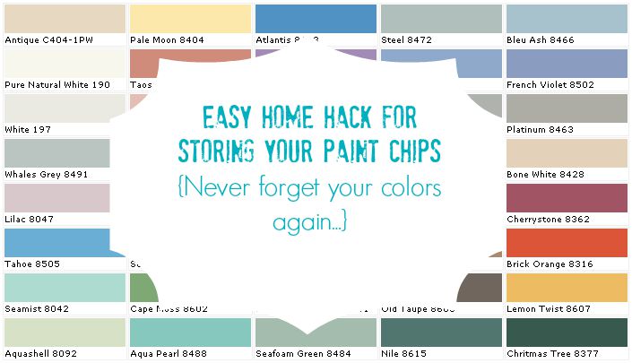 Easy Home Hack for Storing your Paint Chips