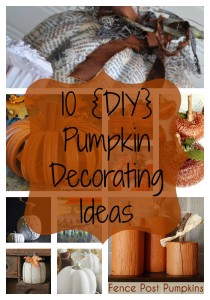 10 DIY Pumpkin Decorating Ideas