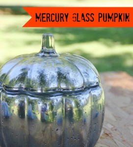 Mercury Glass Pumpkin