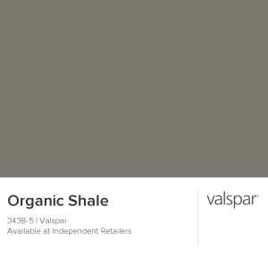 Organic Shale Paint Splotch