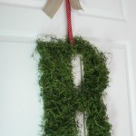 DIY Moss Covered Initial