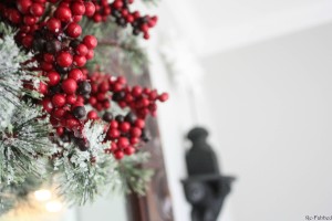 Christmas Home Tour (1)