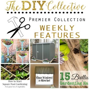 DIY collective features