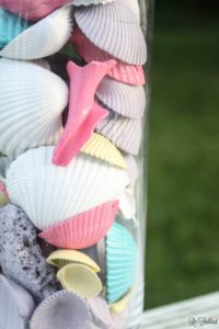 Painted Sea Shells