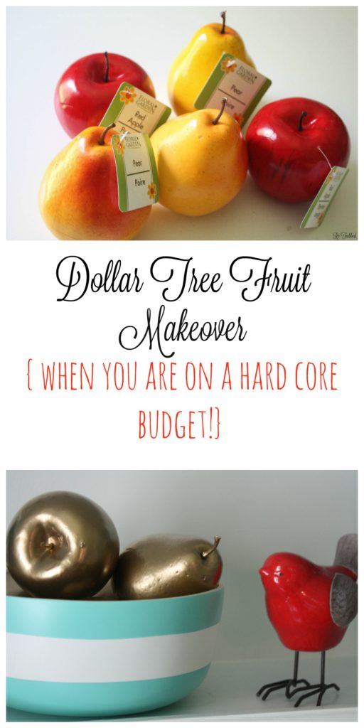 Dollar Tree Fruit Collage