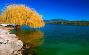 Fall colors over the water