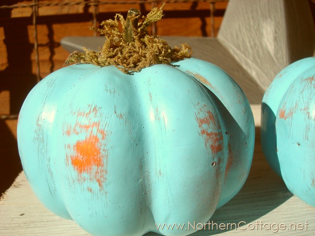 Aqua Pumpkin with Orange