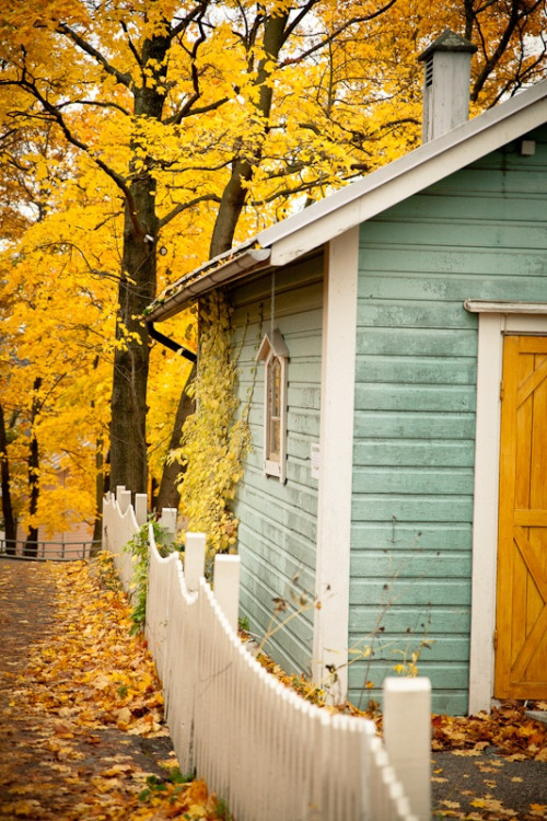 Fall Cabin