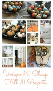 Unique Fall DIY Projects