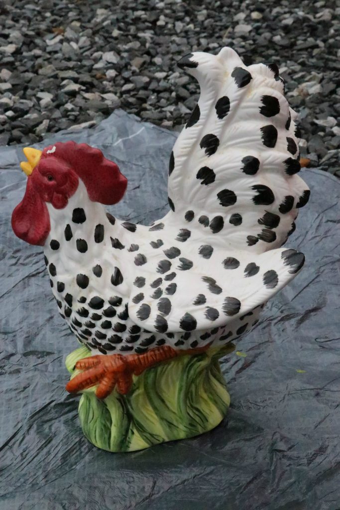 Painted chicken makeover using spray paint!