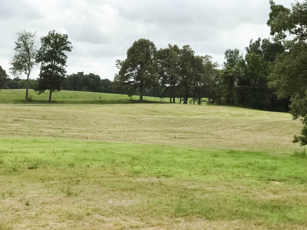 Field of Dreams~An empty field that is full of dreams and ideas as homeowners plan to build their forever home on their farm.