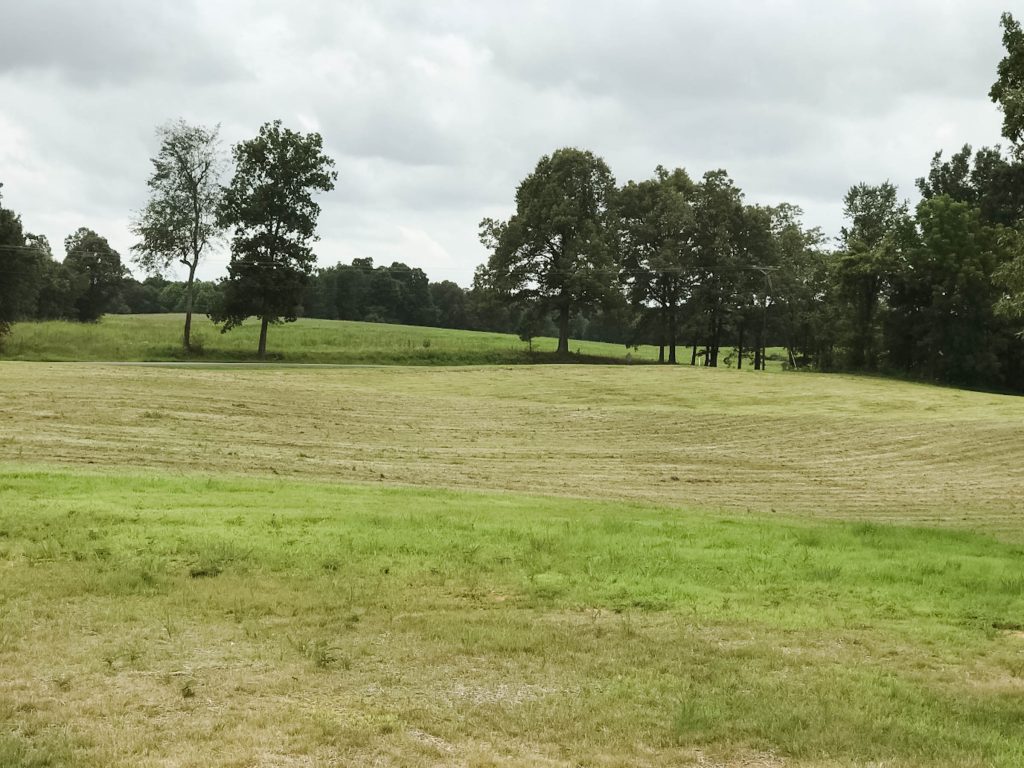 field of dreams 2