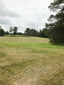 Field of Dreams~An empty field that is full of dreams and ideas as homeowners plan to build their forever home on their farm.