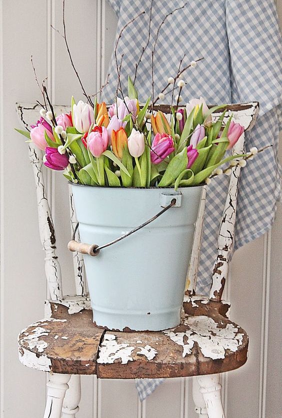 Tulips in chippy bucket for spring
