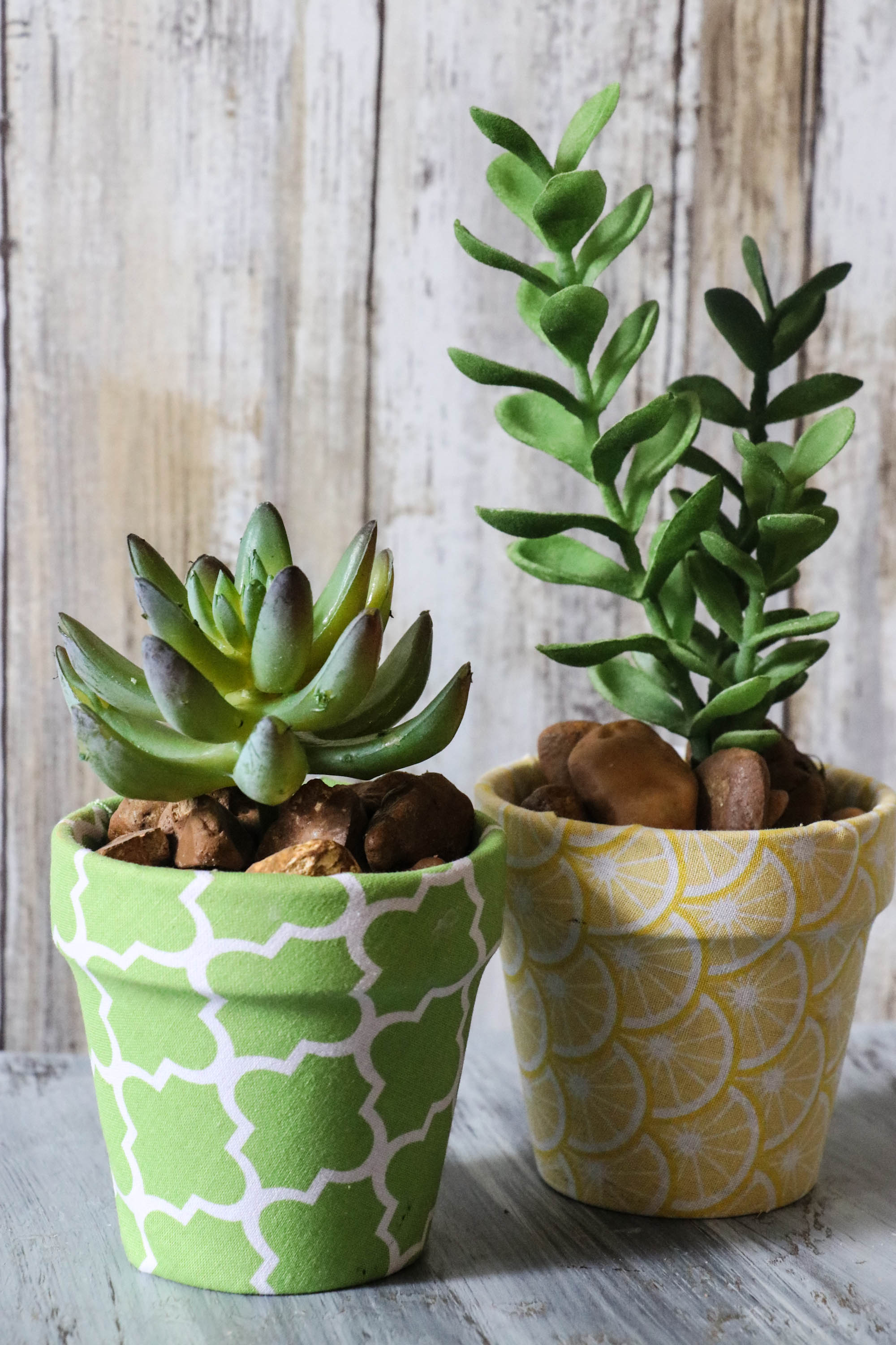 Super cute Dollar Tree flower pots covered in Fabric with cute little succulents! This is ADORABLE!