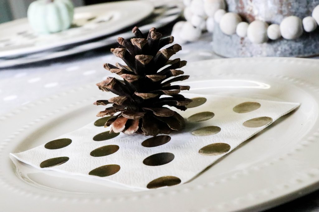 pinecone on a plate 