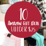 Amazon gift ideas under $25