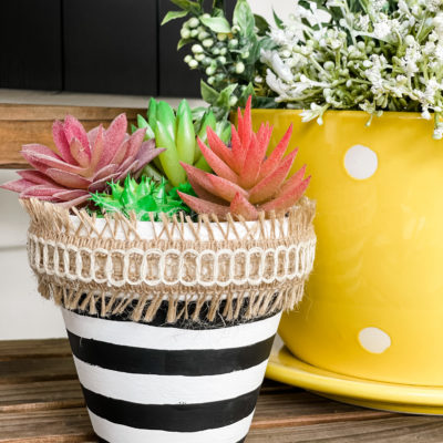 Dollar Tree terracotta pot makeover