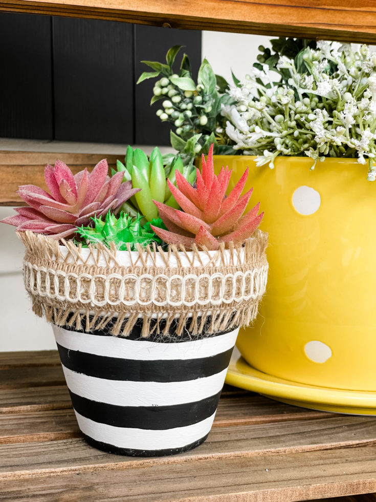 Dollar Tree terracotta pot makeover