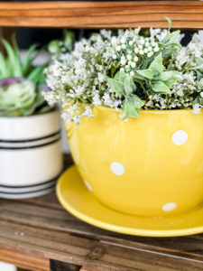 yellow and white polka dot planter