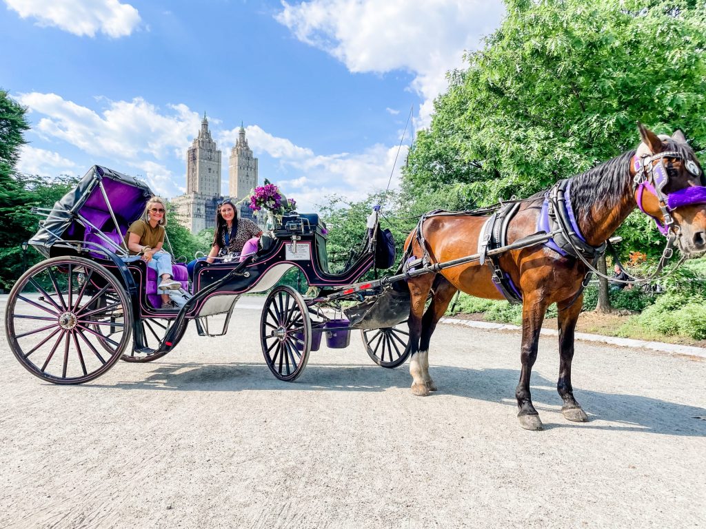 3 day trip travel guide to new york city - carriage tour