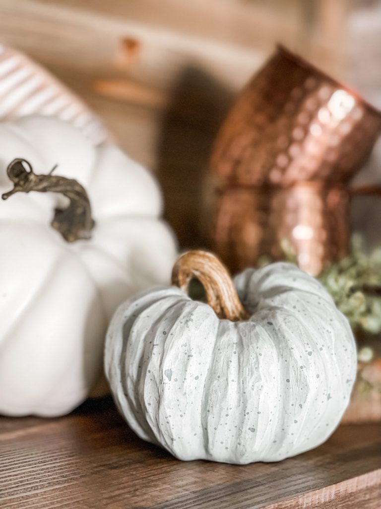 close up of pumpkins on fall coffee bar