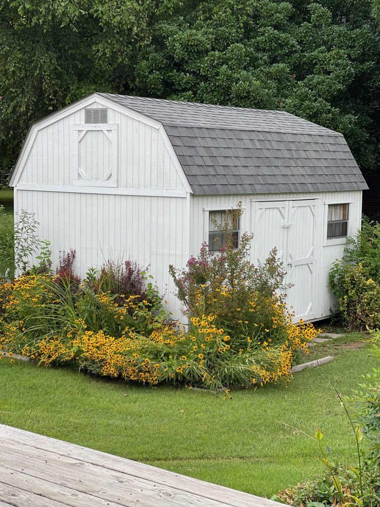 outside shed before