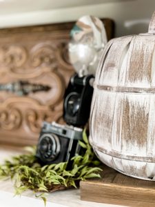 vintage camera used inside fall styled shelving