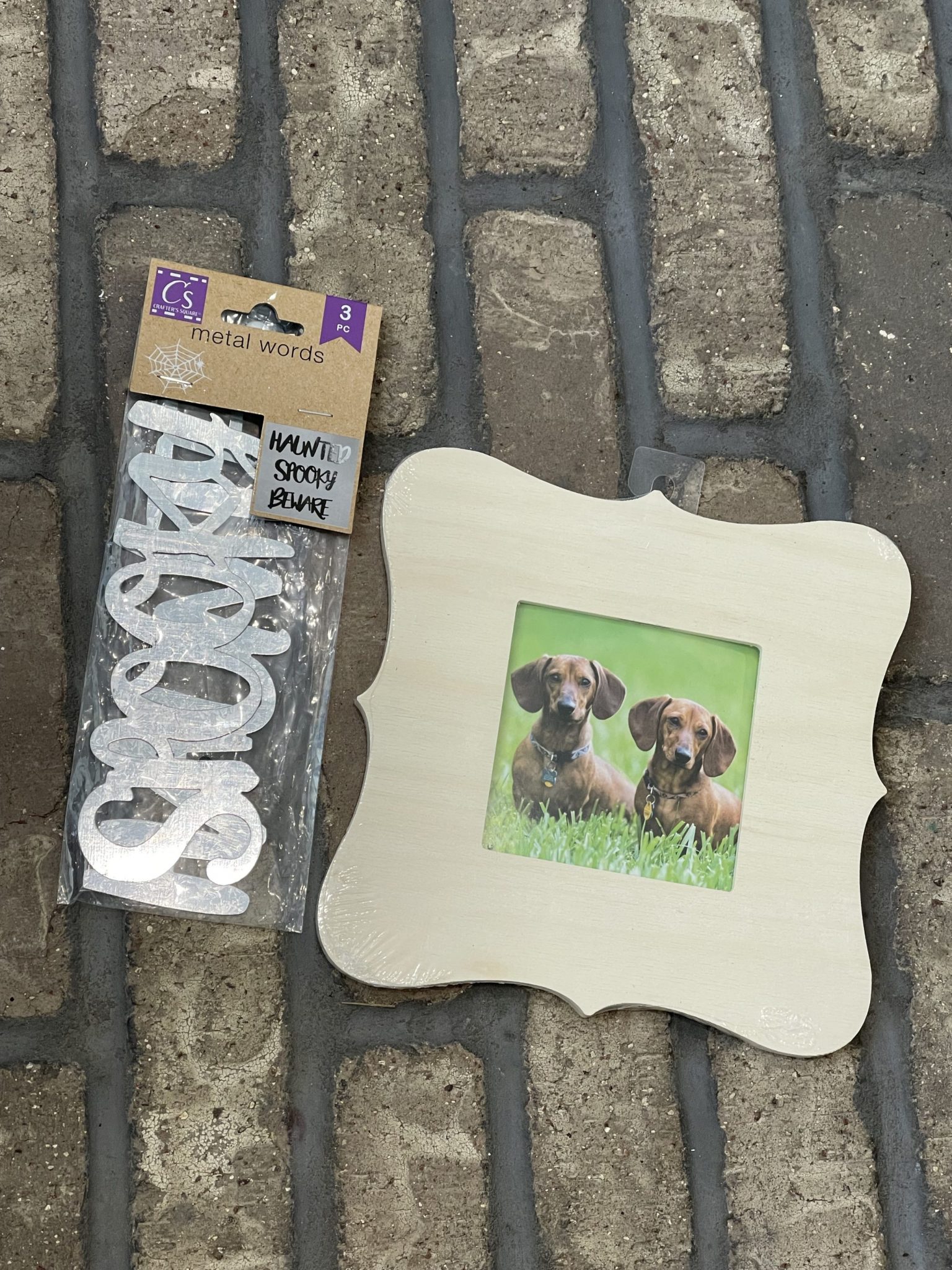 DIY Dollar Tree Halloween Picture Frame ReFabbed