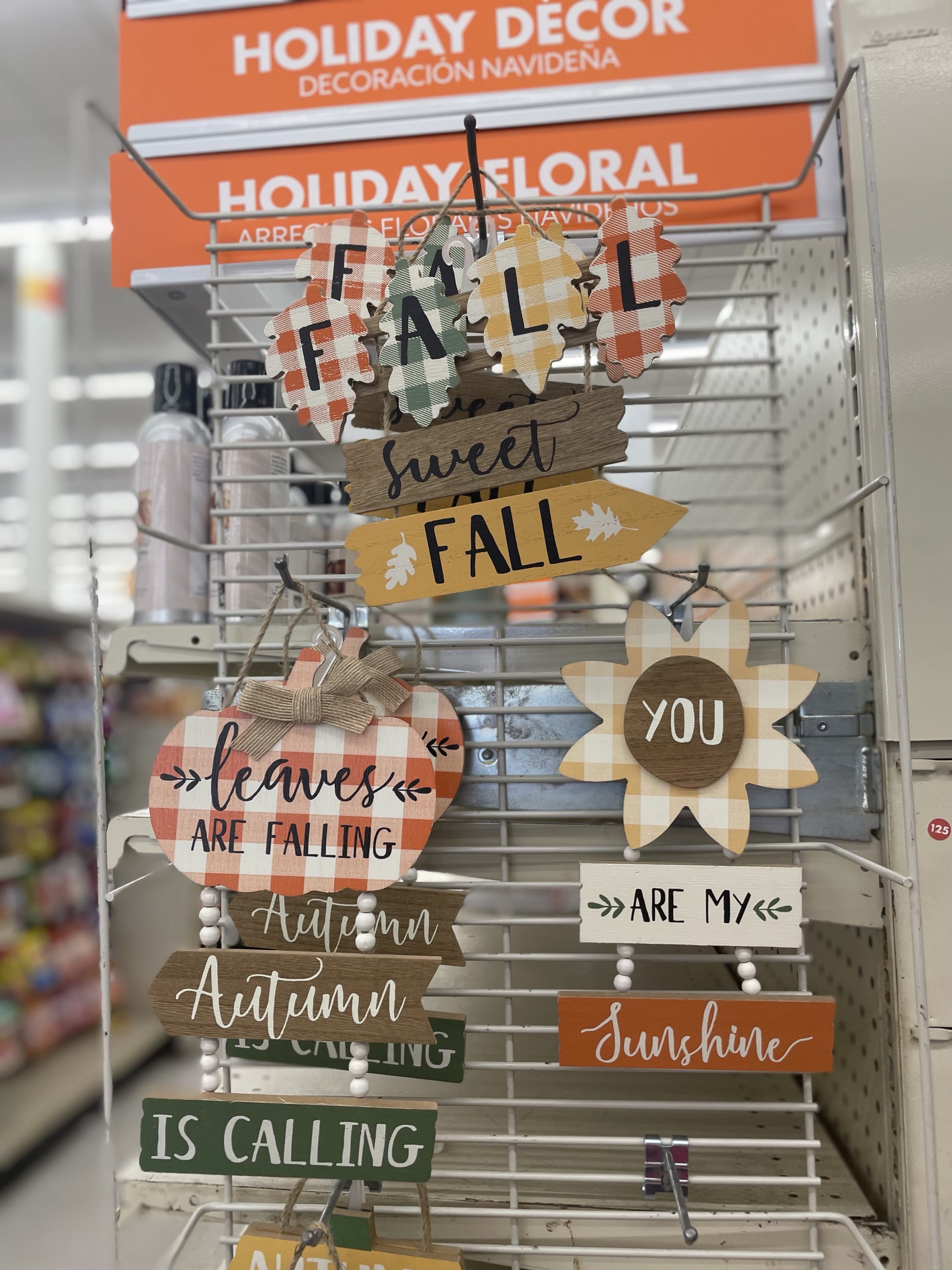 Fall and Halloween decor at Big Lots - Re-Fabbed