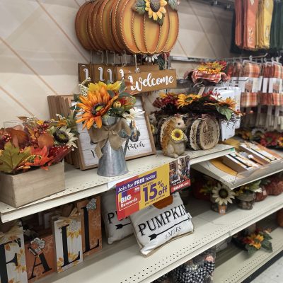 Fall and Halloween decor at Big Lots