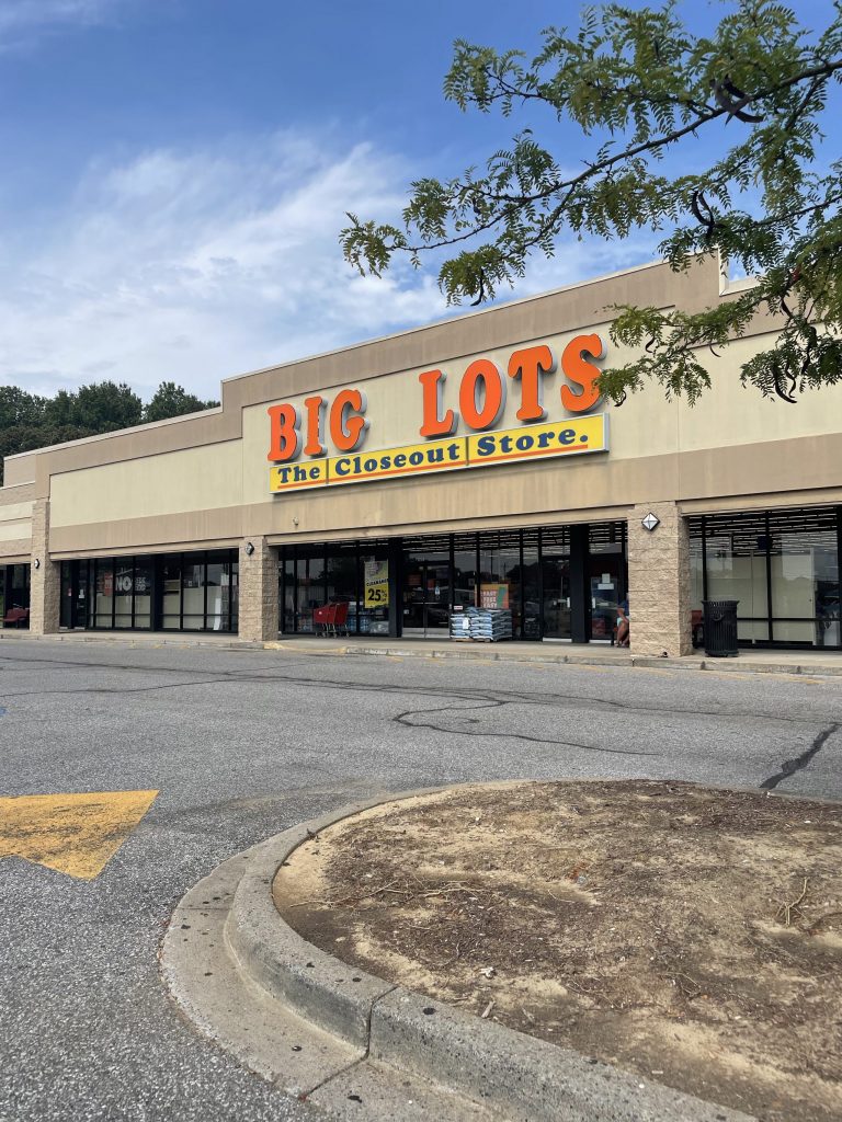 Big Lots sees opening in closeouts