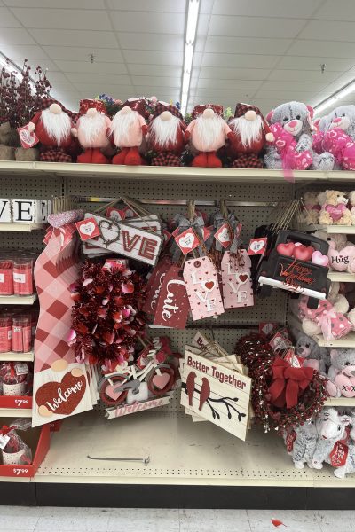 valentine decor at big lots