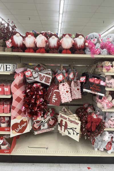 valentine decor at big lots