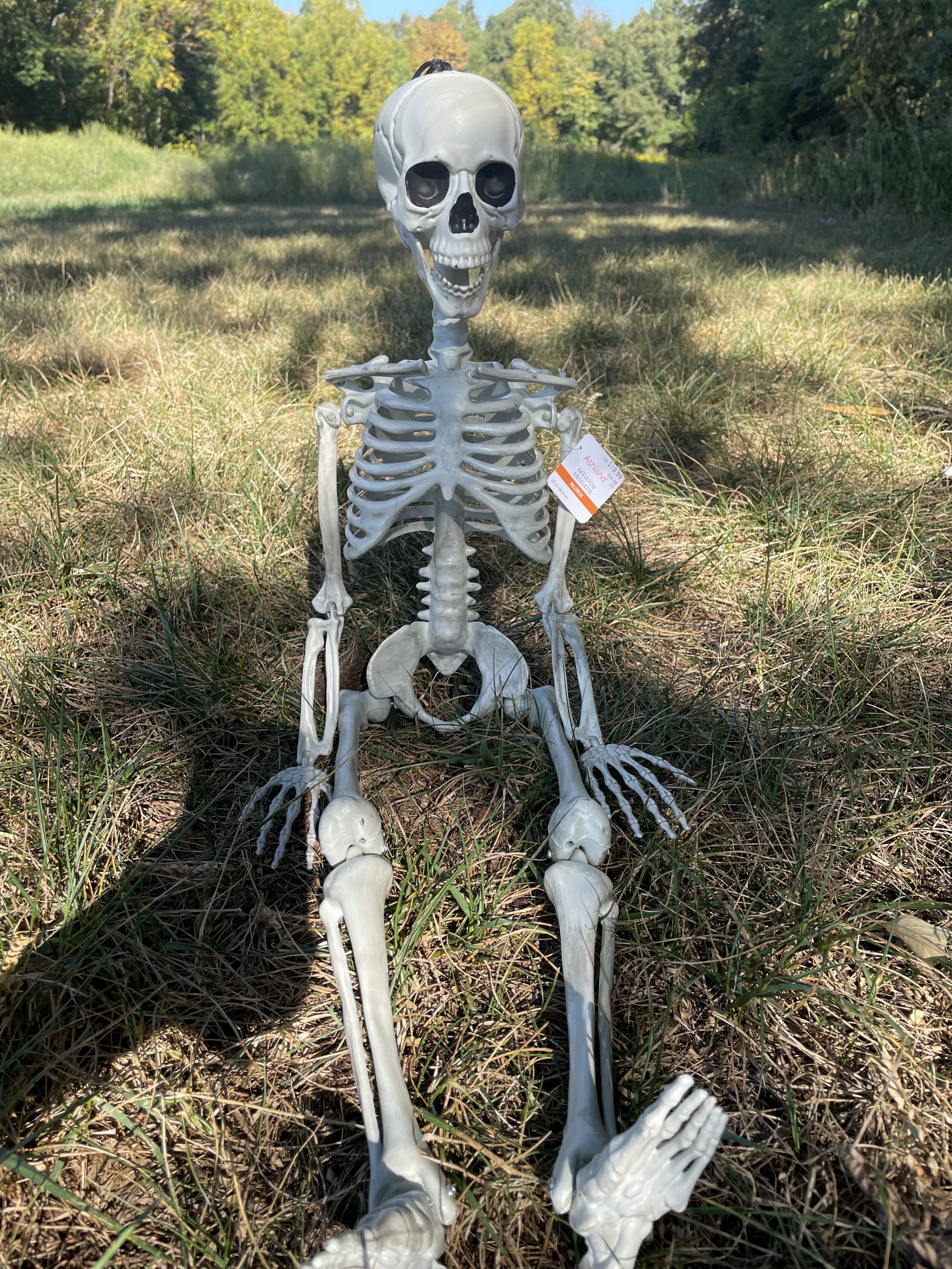 spray paint a skeleton ReFabbed