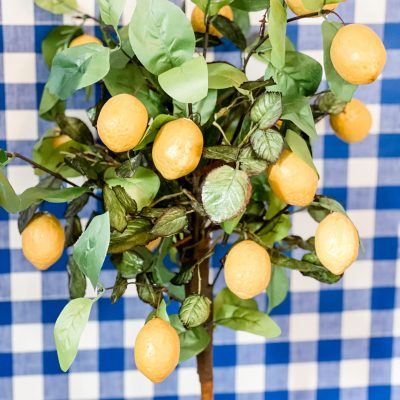 diy lemon tree