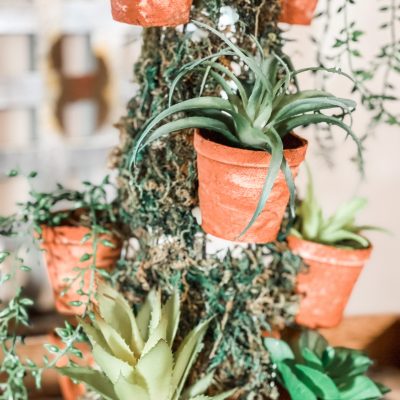 diy succulent topiary