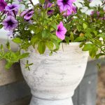 how to make a diy faux concrete planter