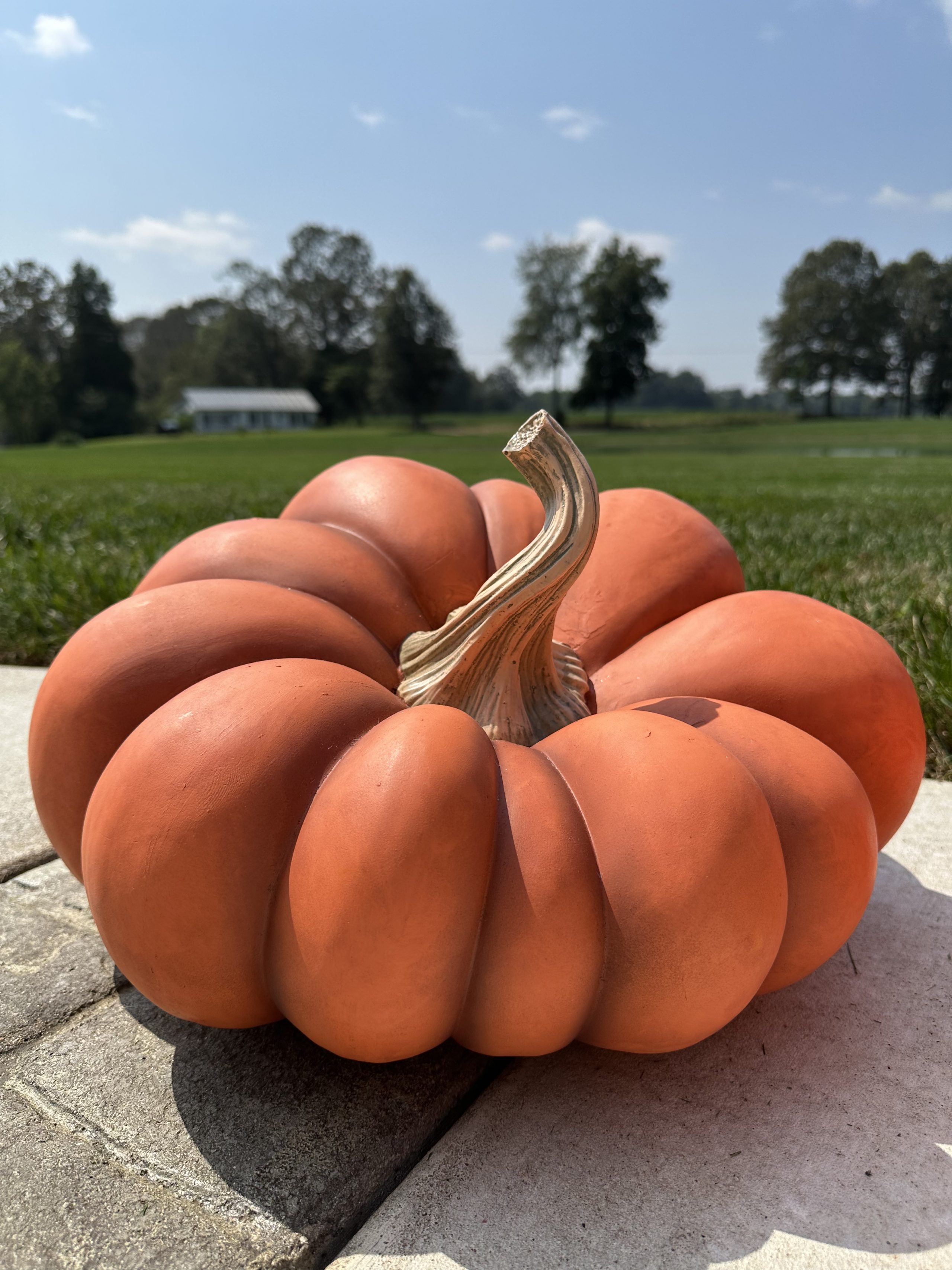 How To Spray Paint Artificial Pumpkins Re Fabbed Painted Pumpkins5