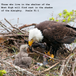under his wings