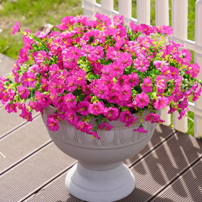 favorite outdoor finds from Amazon